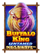 ทำความรู้จักทาง เข้า joker 009 พร้อมวิธีเล่นน่าตื่นเต้น