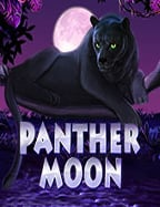 สำรวจความสนุกที่ คาสิโนออนไลน์ 99 ที่ไม่ควรพลาด